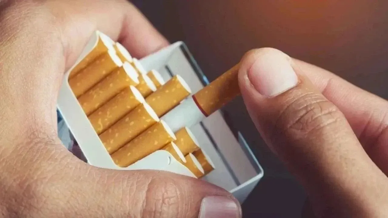 Philip Morris Grubu Güncel Fiyat Listesi (Mart 2025 İtibarıyla)