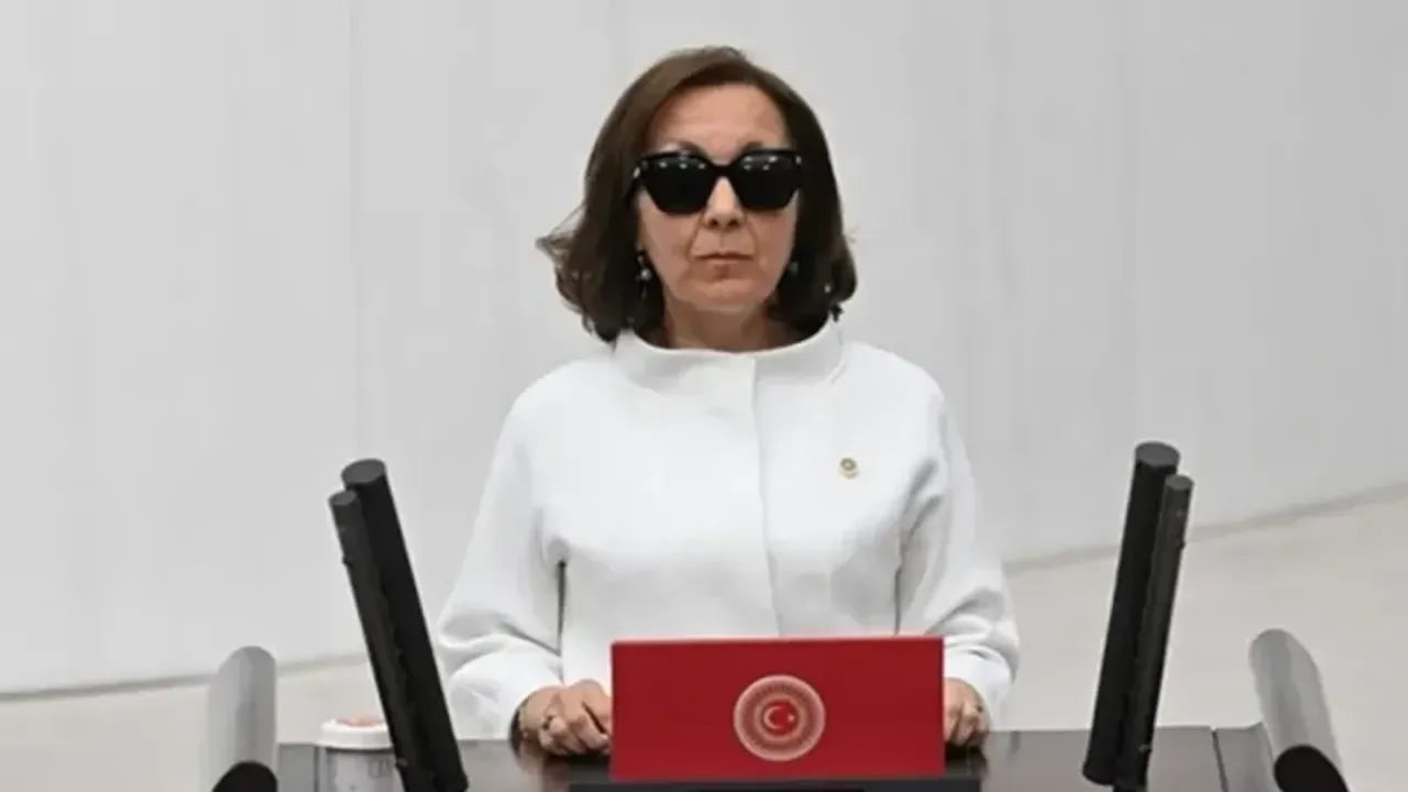 Serap Yazıcı Özbudun Kimdir, Nereli, Kaç Yaşında, Evli mi, Eğitimi ve Biyografisi