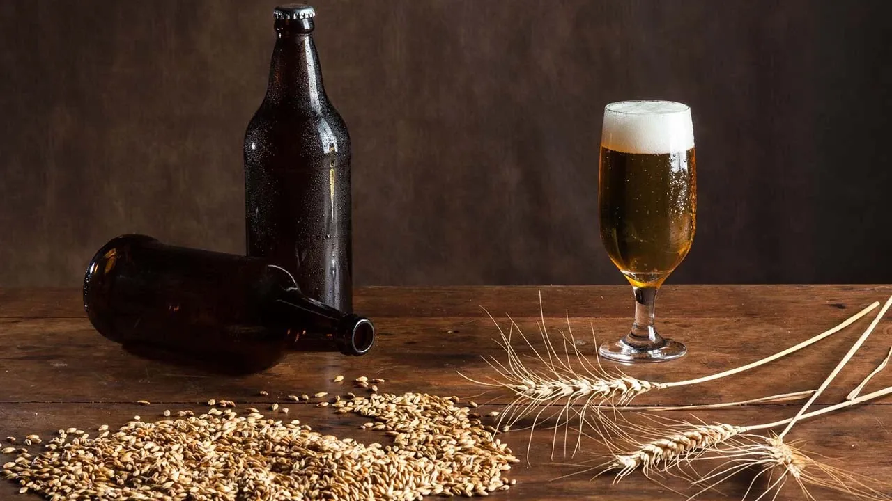 Bira Fiyatları 2025 | En Ucuz Bira Ne Kadar Oldu? Efes, Tuborg, Krombacher, Amsterdam Güncel Liste