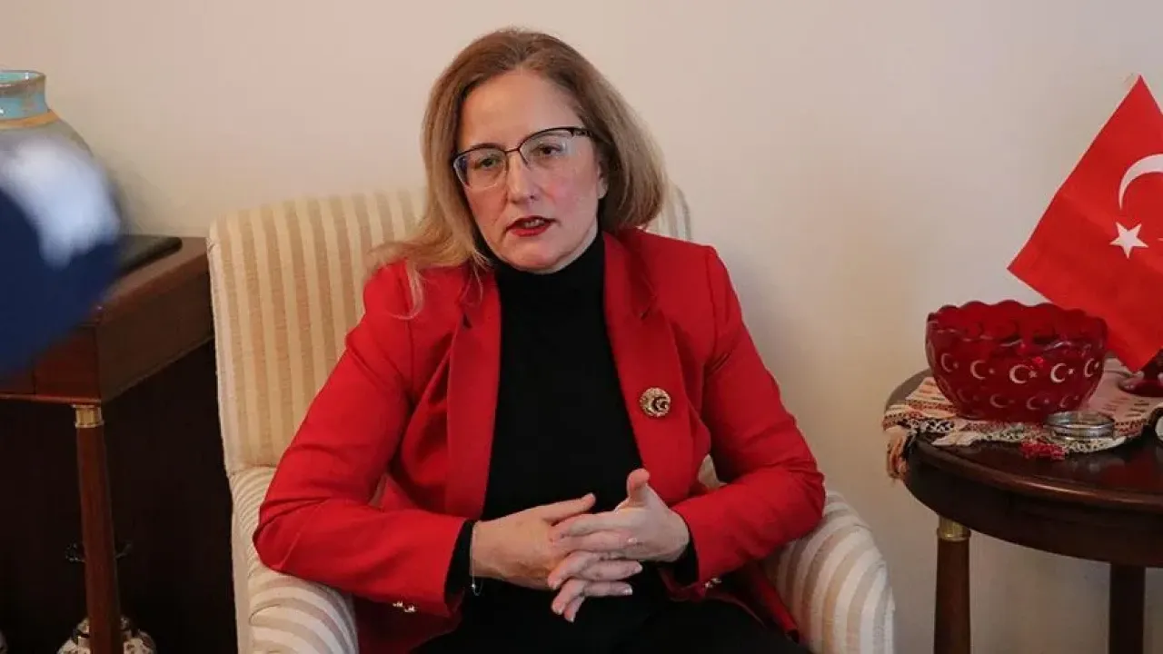 Fatma Ceren Yazgan Kimdir, Kaç Yaşında, Nereli? Yeni Hollanda (Lahey) Büyükelçisinin Eğitimi, Kariyeri ve Diplomatik Görevleri
