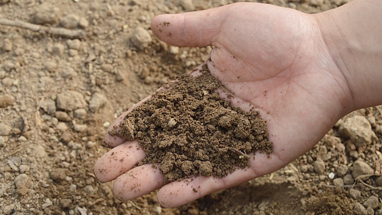 Toprak Nemi Neden Önemlidir? Toprak Nemini Artırma ve Koruma Yöntemleri Nelerdir?