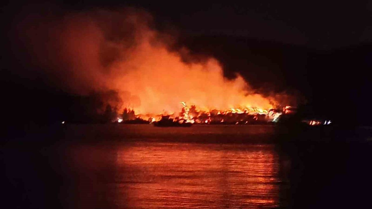 Muğla Milas’ta orman yangını: Söndürme çalışmaları havadan ve karadan sürüyor