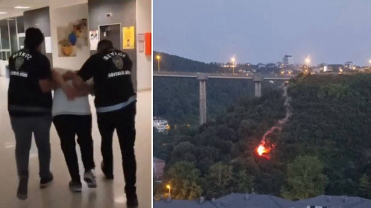 Beykoz'da orman yangınına neden olan şüpheli tutuklandı