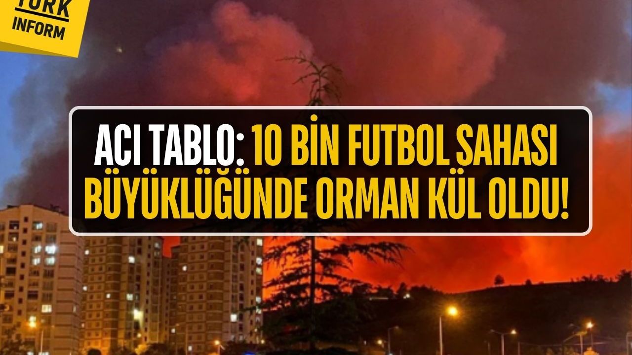 Bursa’daki yangından geriye kalanlar: Acı bilanço açıklandı!