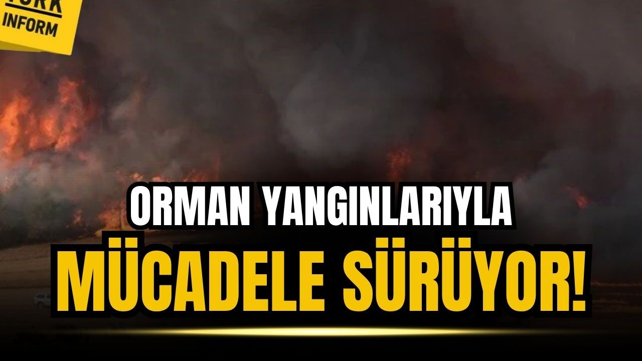 Sakarya'daki orman yangını Bilecik'e sıçradı