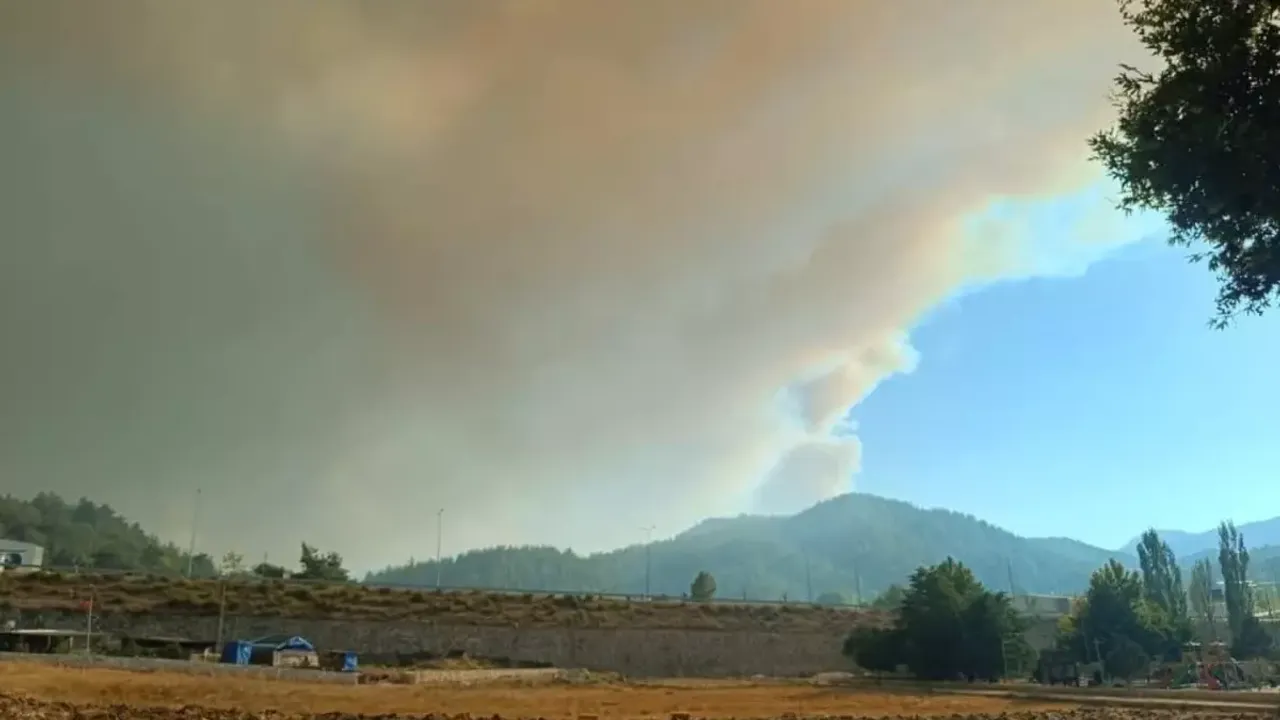 Suriye sınırındaki orman yangını yeniden Türkiye'ye yaklaştı