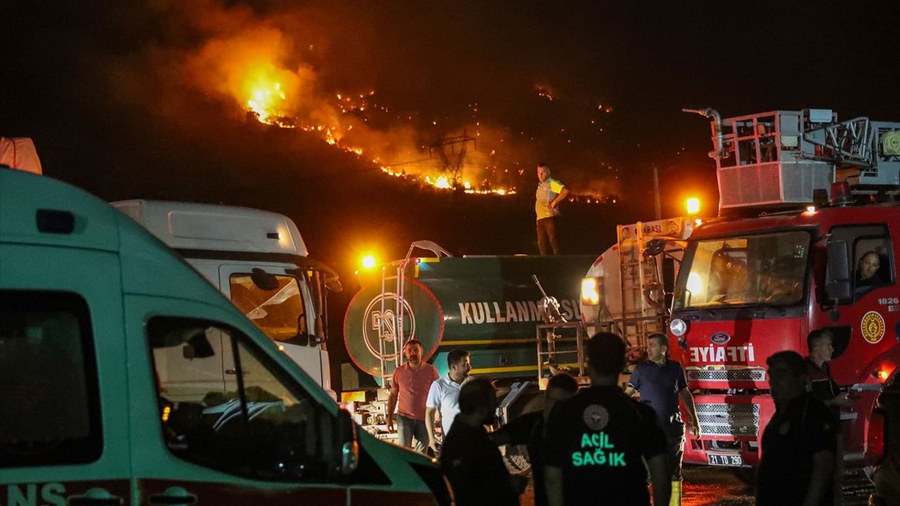 Diyarbakır'ın 3 ilçesinde eşzamanlı orman yangını çıktı