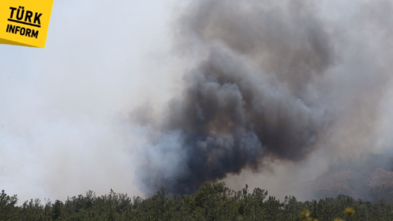 Çanakkale bir kez daha yangınla sarsıldı: Kaz dağları alarmı!