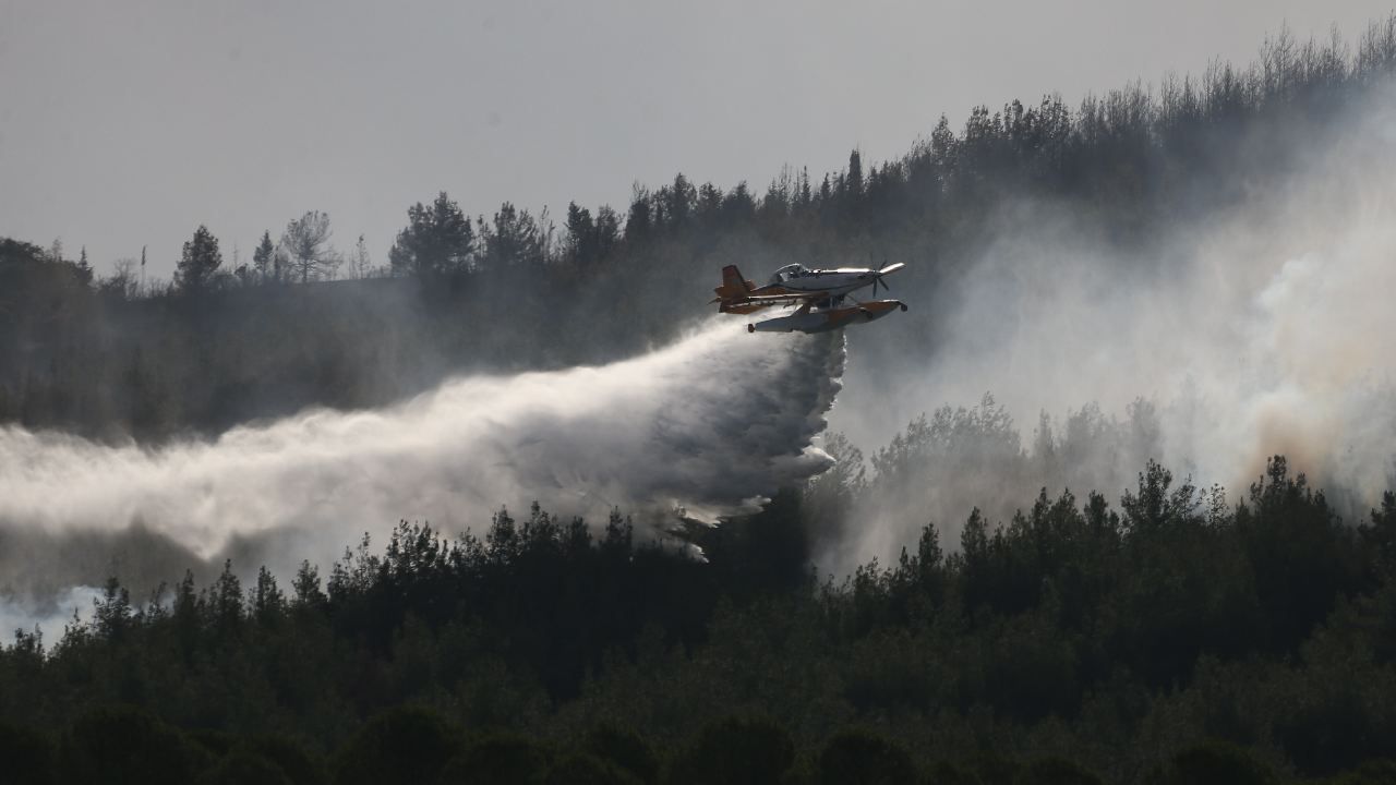 Türkiye'nin tarihi yanıyor: Gelibolu alevlere teslim oldu