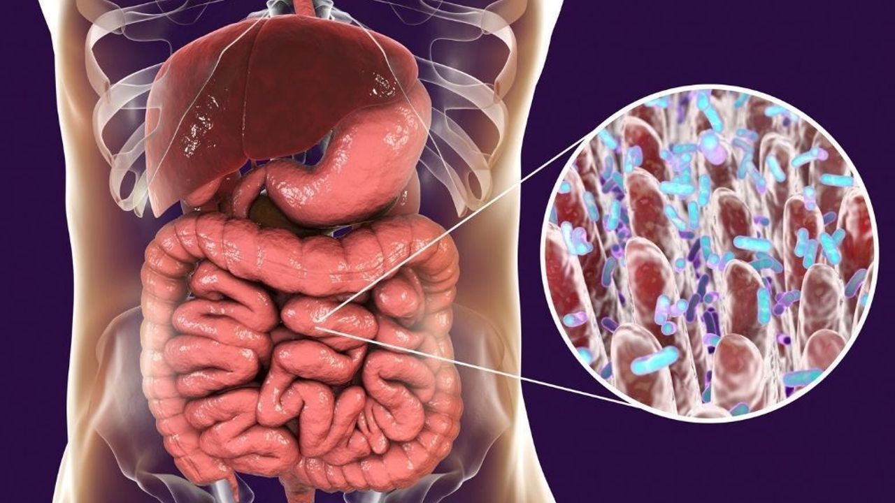 Defekasyon nedir, belirtileri nelerdir, tedavisi nasıl yapılır? Defekasyon senkopu nedir?