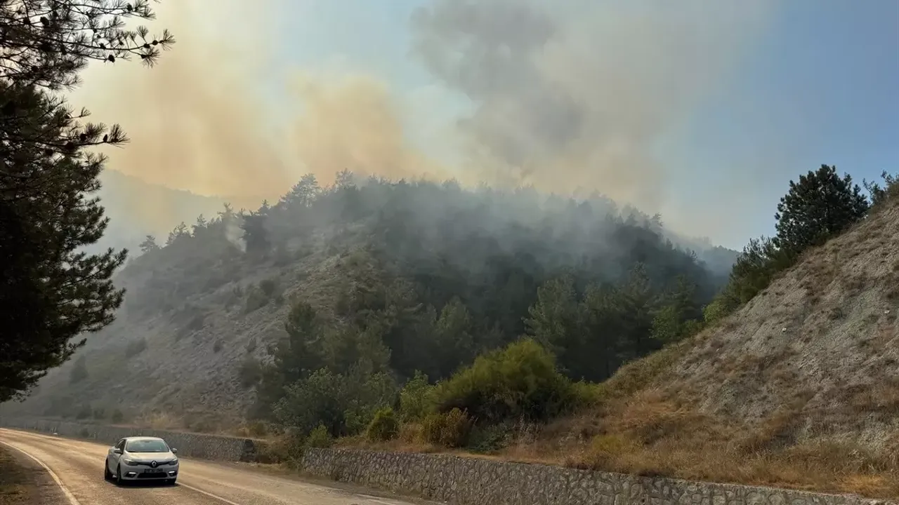 Karabük’te orman yangını: ekipler müdahale etmeye devam ediyor