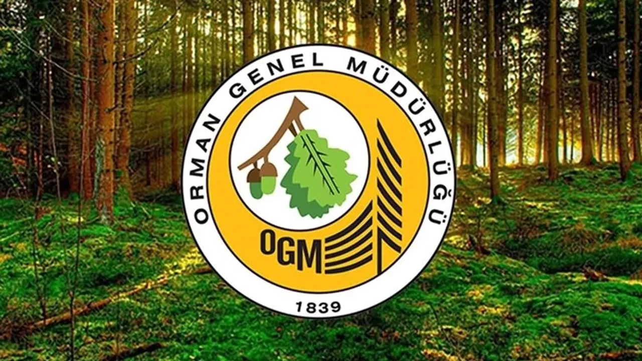 OGM’den yangın sonrası ağaçlandırma süreci hakkında açıklama