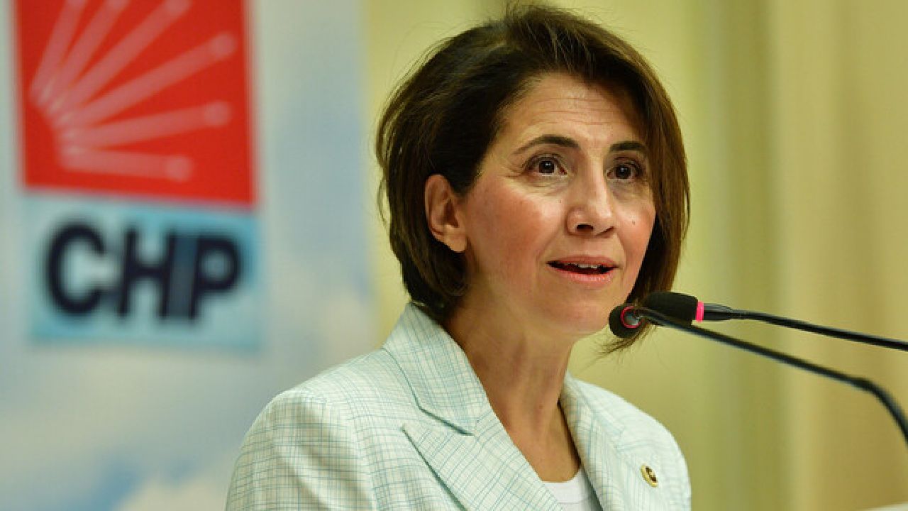 CHP Ankara Milletvekili Aylin Yaman'dan harç uygulaması eleştirisi