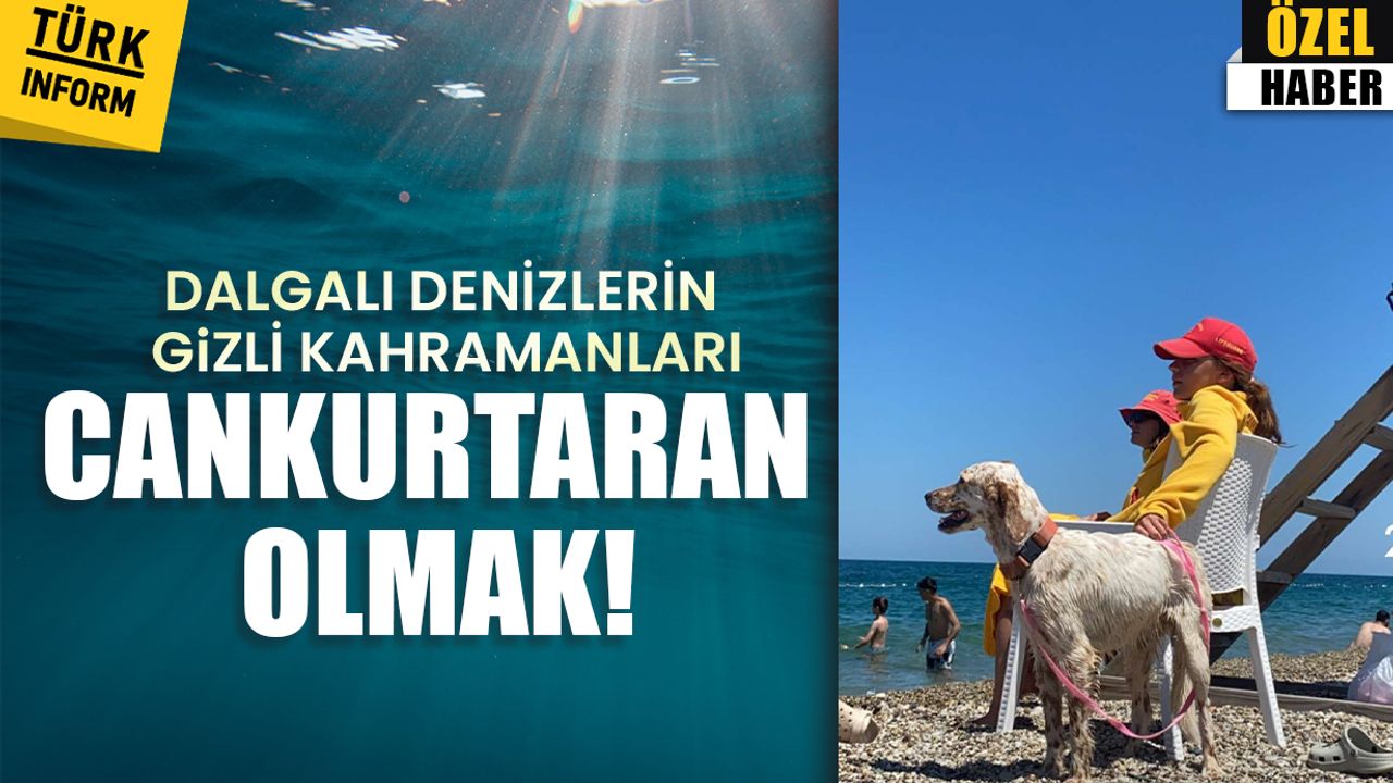 Dalgalı denizlerin gizli kahramanları: Cankurtaran olmak!