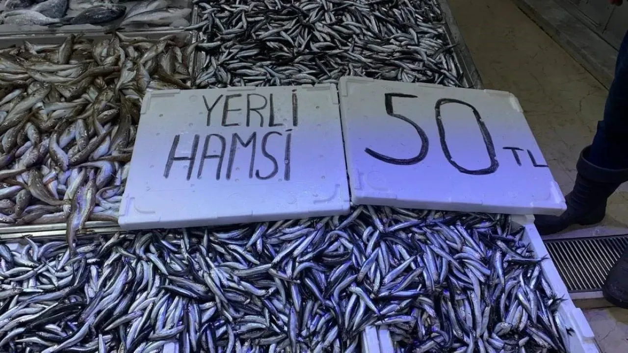 Tekirdağ'da hamsinin kilosu 50 liraya düştü! Balıkçılar 'sigaradan ucuz' diye bağırarak sattı