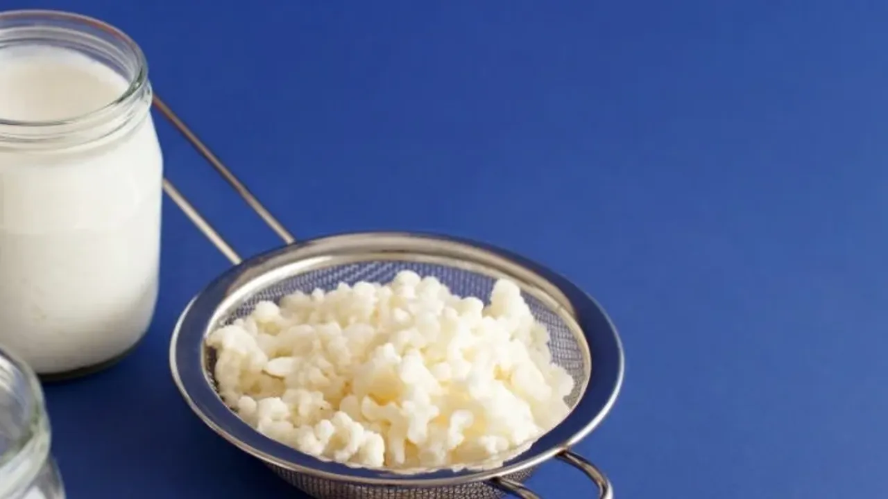 Kefir nasıl mayalanır? İşte püf noktalar