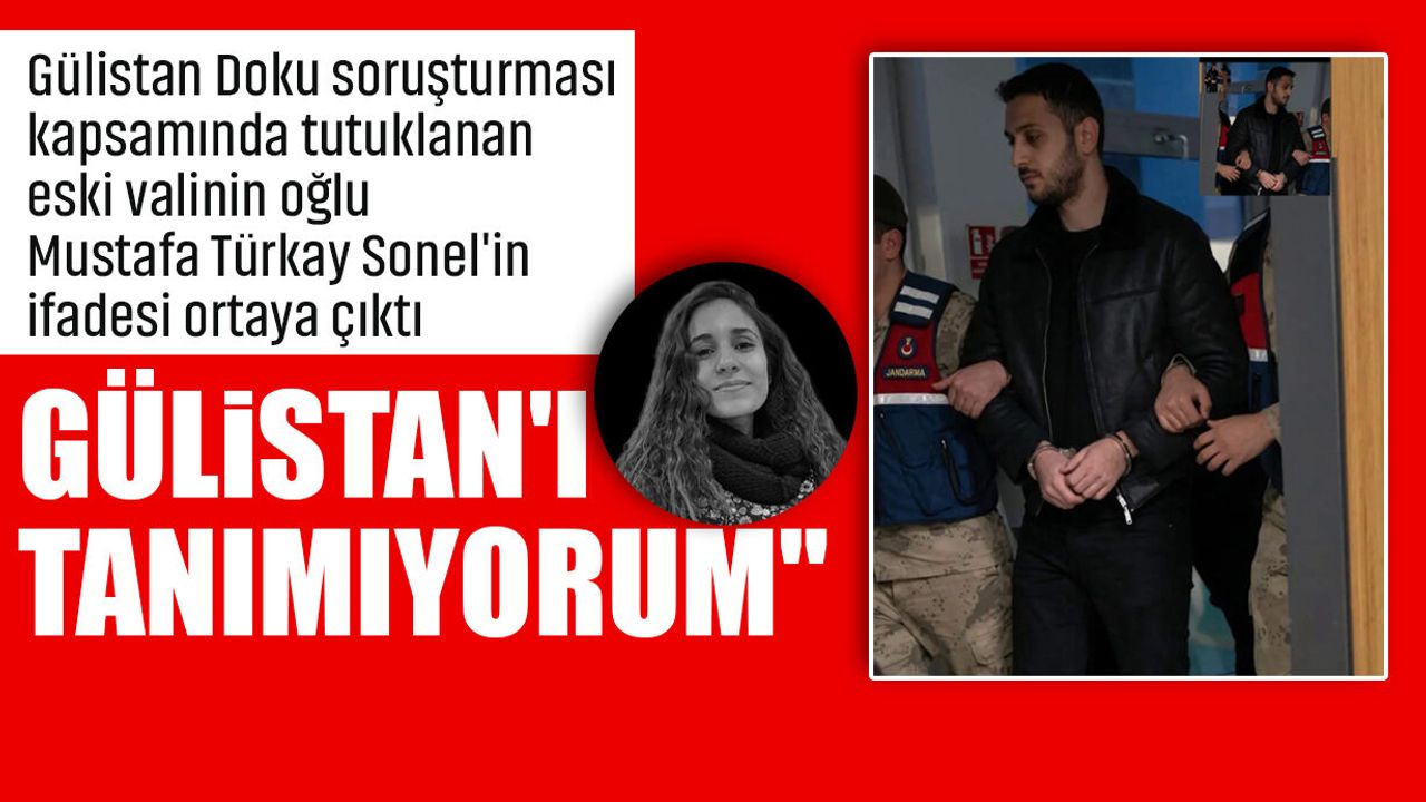 Tunceli eski valisi Tuncay Sonel'in oğlu Mustafa Türkay Sonel'in ifadesi ortaya çıktı