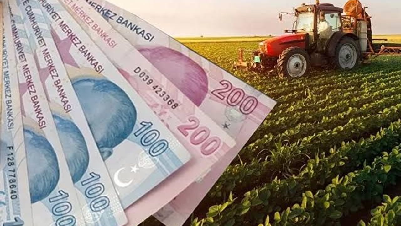 Her yıl 10 milyon metrekare hazine arazisi yatırıma açılacak