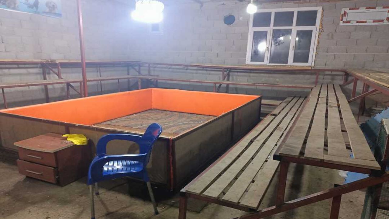 Horoz dövüşü yapanlara 130 bin lira ceza!