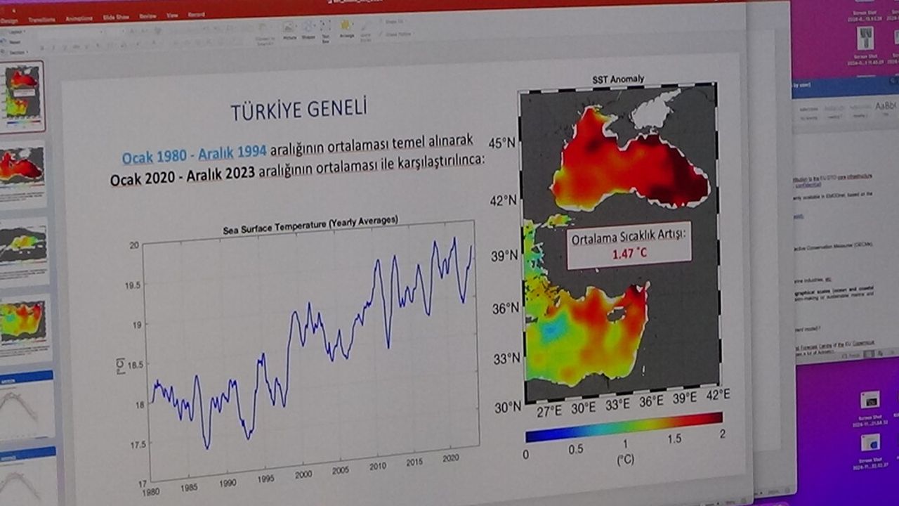 Deniz suyu sıcaklıklarında endişelendiren artış!