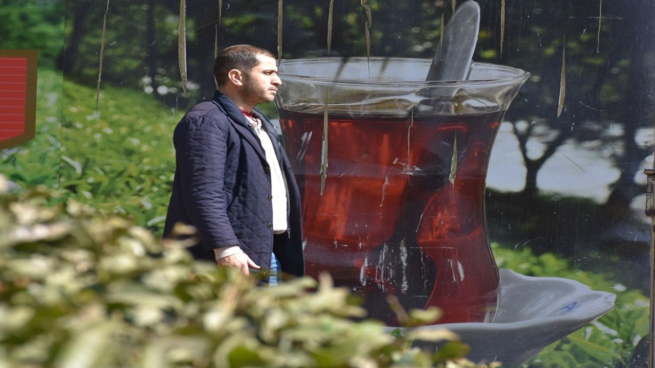 Enerji güneşten, çaylar Trabzon'dan