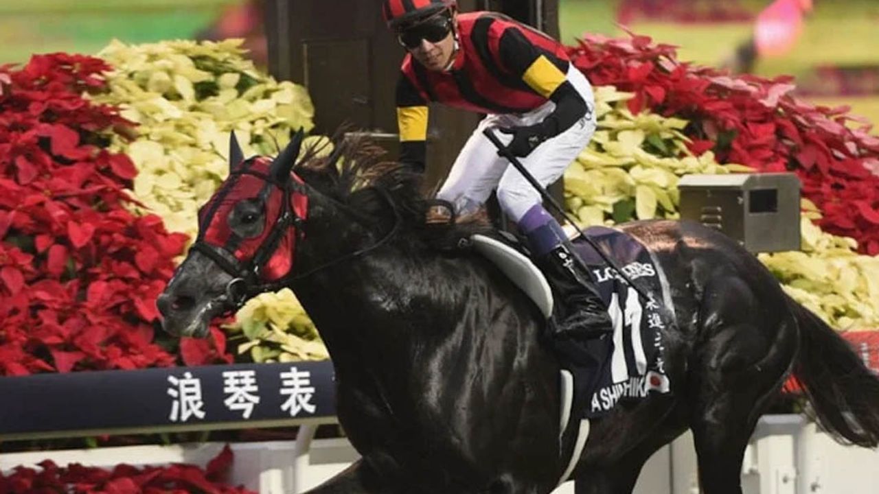 Ünü jokeyin serveti dudak uçuklattı