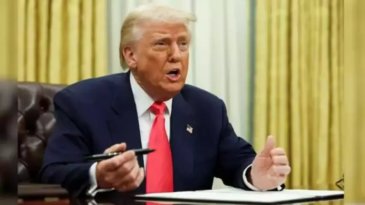 Penguenler de Trump'ın gümrük vergilerinden nasibini aldı!