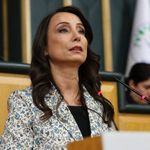 DEM Parti’den YENİ Parti’ye “Çerçeve Yasa” mesajı: “Tamamından ‘evet’ oyu beklerdik”