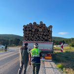 Kütahya'da orman koruması sürüyor