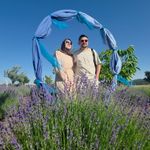Lavanta bahçesi yaz turizmine renk kattı