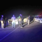 Kütahya'da koyunlar zincirleme kazaya neden oldu