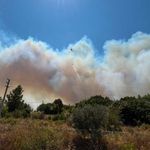Türkiye’de orman yangınlarının temel sebepleri neler?