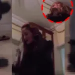 Vahşet kamerada! Kirpi şezlonga bağlandı... Kaplumbağayı ezerek öldürdü: "Öleceksin, çok mutluyum"