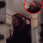 Kaplumbağayı ezerek öldürmüştü: Gözaltına alındı!