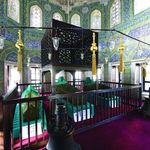 Uzman isim uyardı! Gözümüzün önünde yok oluyorlar