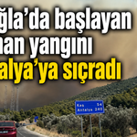 Muğla'da başlayan orman yangını Antalya'ya sıçradı