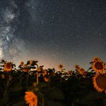 Meteor yağmuru görsel şölen sundu