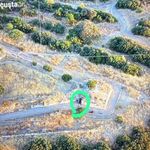 Dron destekli operasyonla yakayı eleverdiler
