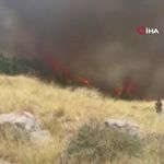 Ankara'nın göbeğinde korku dolu anlar: Otluk alanda yangın çıktı!
