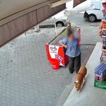 İzmir’de pitbull saldırısı: 5 çocuk annesi kadının parmağı koptu