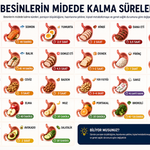 Hangi besin midede ne kadar kalıyor?