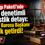 12. Yargı Paketi'nde af ve denetimli serbestlik detayı: Ankara Barosu Başkanı açıklık getirdi!
