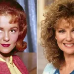 Shelley Fabares hayatını kaybetti: Elvis Presley ile üç filmde rol almıştı