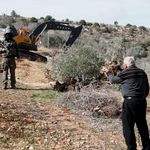 İşgalci İsrail yeşilin de düşmanı!