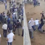 Canlı hayvan borsasındaki öldüresiye kavga kamerada!