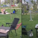 Sahilde çekirdek çitledi! Cezası ağızları açık bıraktı