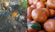 Bakanlık paylaştı: 6.100 kg mandalinada tarımsal ilaç kalıntısı tespit edildi!