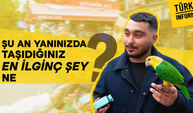 Şu an yanınızda taşıdığınız en ilginç şey ne?