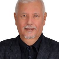 Prof. Dr. İbrahim ORTAŞ