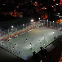 Spor